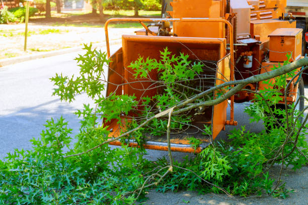 Lawn Irrigation Installation and Maintenance in Dutch Island, GA